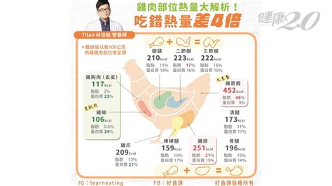 雞肋部位|吃雞補蛋白、鞏固抵抗力！雞肉各部位營養熱量一次看懂